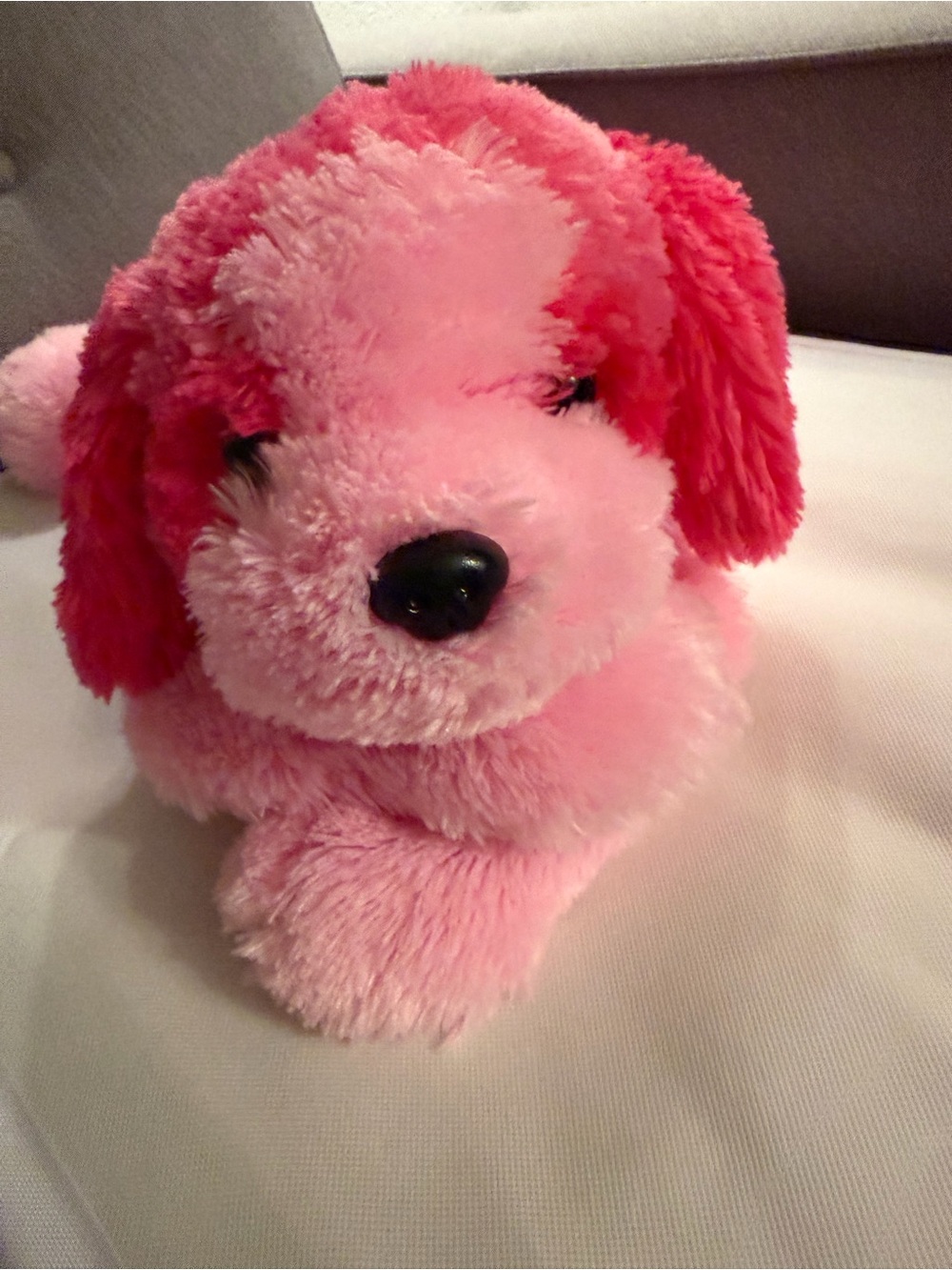 TY 2011 YODELS St Bernard 21"
Shaggy Pink Beanie Plush Dog